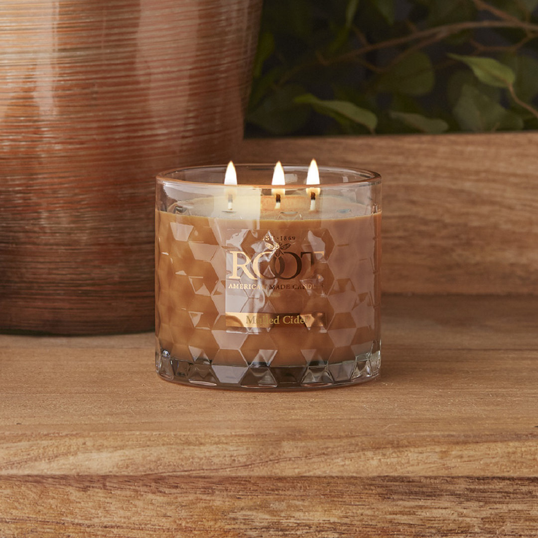 Mulled Cider Scented Jar Candle Root Candles