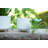 Gisselle Ceramic Planter
