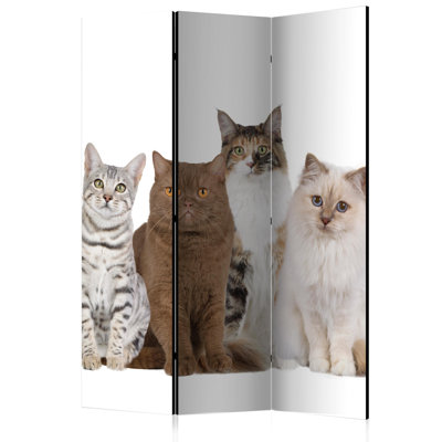135cm W x 172cm H 3 - Panel Wood Folding Room Divider