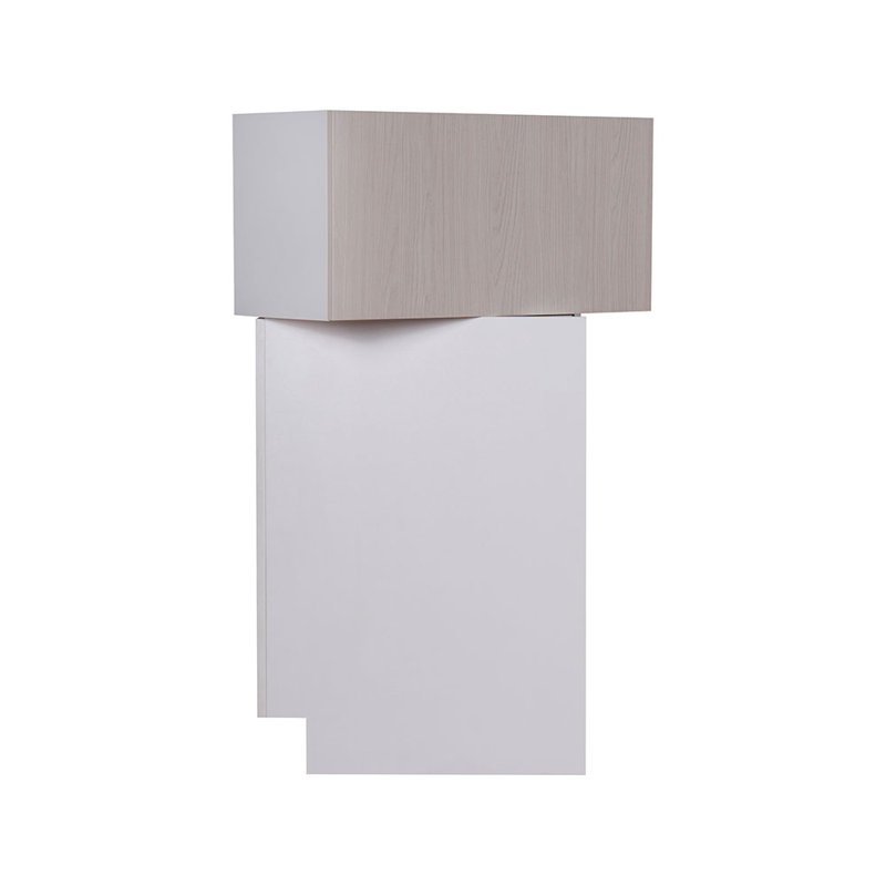 Armoire murale rabattable à une porte WFL3018