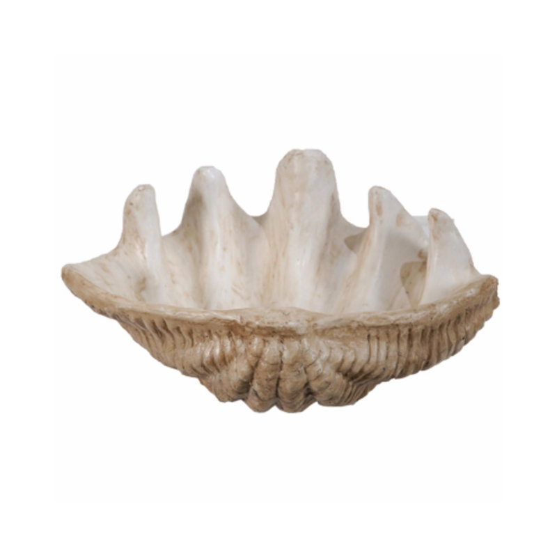 Clemetine Shell Figurine / Sculpture Decorative Object