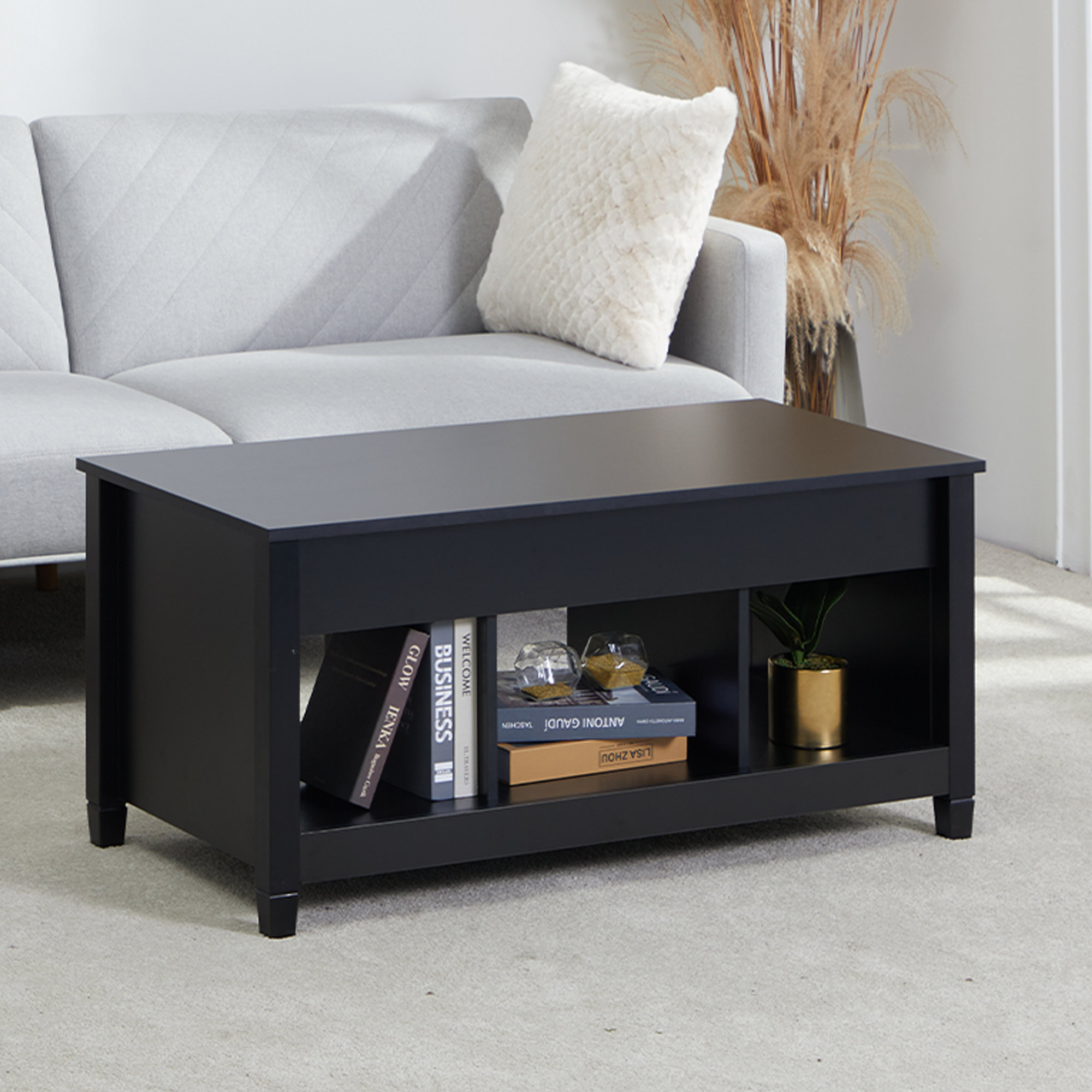 Eoghan Lift Top Frame Coffee Table with Storage Millwood Pines Color: Espresso