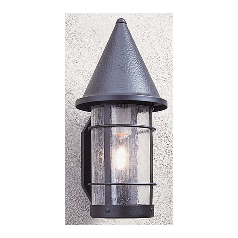 Lanterne murale d'extérieur 1 lumière Valencia, H 15,63 po x l 7,25 po, Noir satiné, Verre puceux transparent