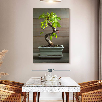 Bonsai Tree In A Pot