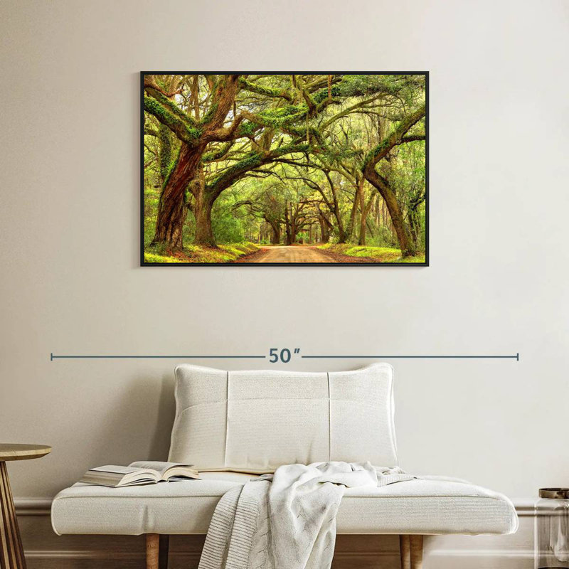 Charleston Oak Forest, Cadre flottant noir, 37 po x 25 po