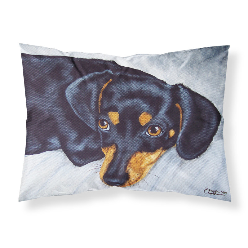  Taie d'oreiller Doxie Dachshund