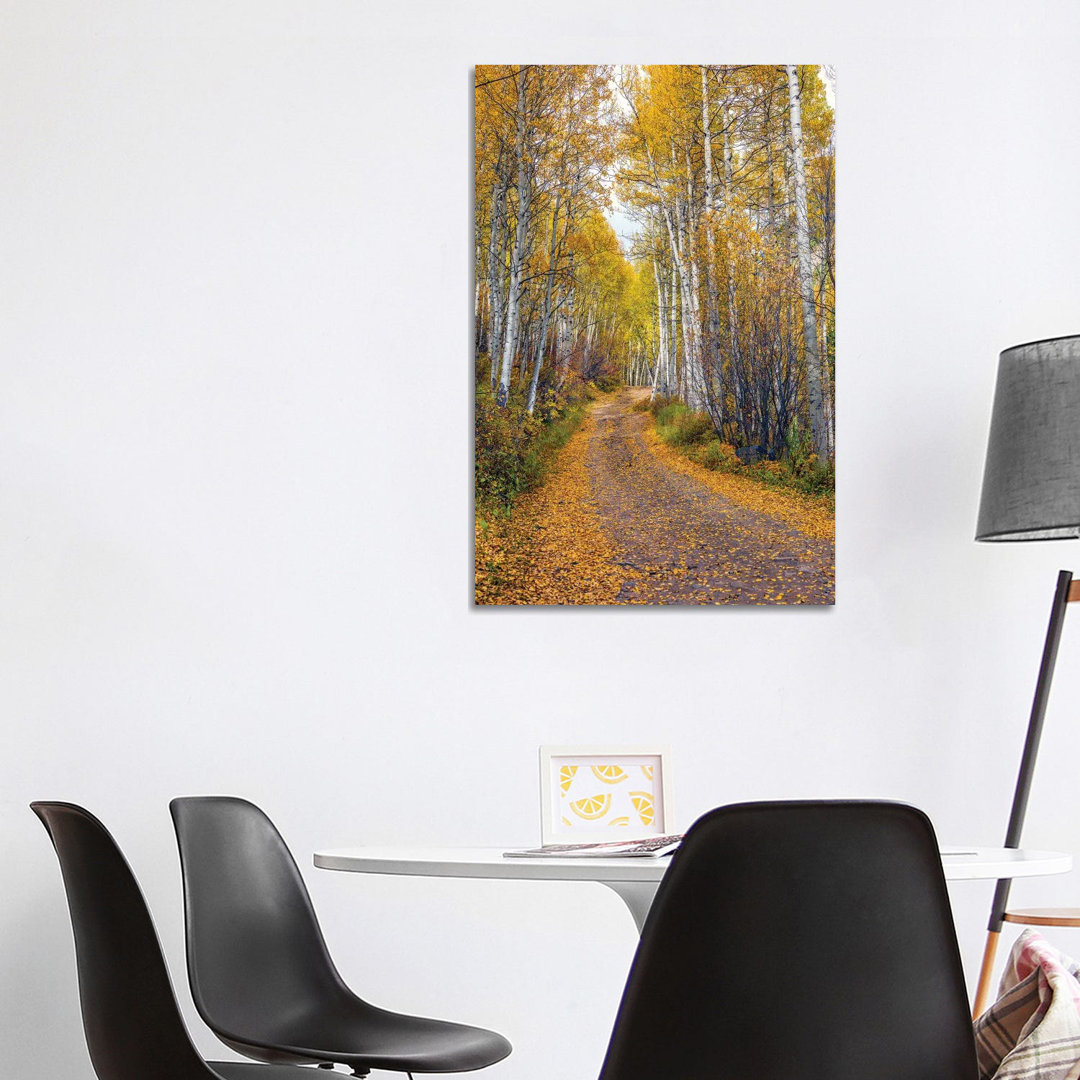 Herbst in Aspen Colorado von Susanne Kremer - Galerie-verpackte Leinwand Giclée auf Leinwand