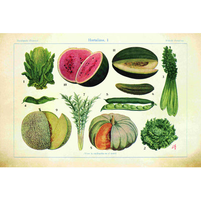 Melon rétro botanique