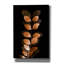 "Epic Graffiti" Fall Leaves 7 "par Ian Winistanley, art mural sur toile-102450544