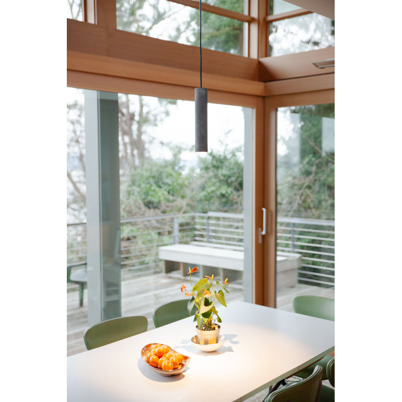 Roest Industrial Steel Pipe Pendant Light, 12" H x 2.5" W x 2.5" D, Carbon