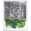 Cozumel Plata Print by Robert Robinson