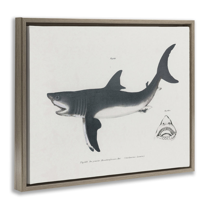 Cadre flottant détaillé à motif de requins, design par Phillipa Katz, Cadre flottant orme Montalcino, H 25 po x l 31 po
