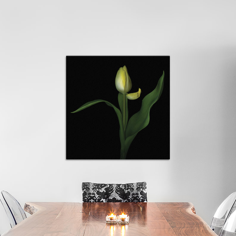 Nonchalance, reproduction de photo sur toile tendue, H 26 po x l 26 po x P 1,5 po, Pas de tapis, Toile tendue