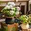 Pot à fleurs Louna-841466288-841466289