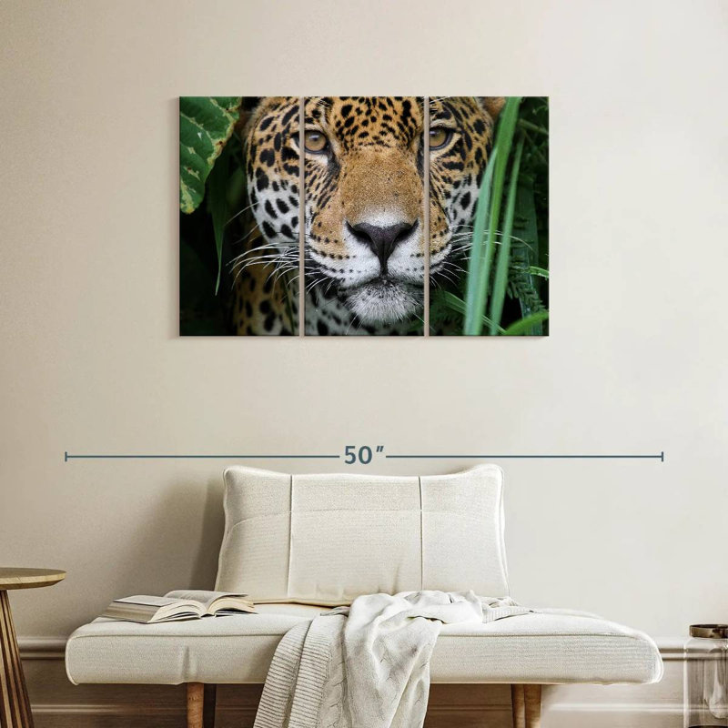 Jaguar de la Amazonie, H 24 po x l 38 po