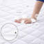 Fitted Mattress Protector Case Pack-223936673