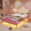 Led Single Bed With Crown Headboard