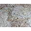 Tapis oriental tibétain moderne en soie noué à la main 8 po x 9 pi 10 po avec soie 39819A5166640458E096A69A61932 CA