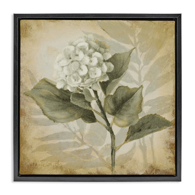 «Aubergine Hydrangea Impression» par Lanie Loreth