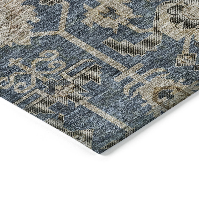 Myda Washable Oriental Indoor / Outdoor Rug, Rectangle 10' x 14'