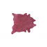Fuschia
