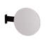 Branch Side Mirror-49909981