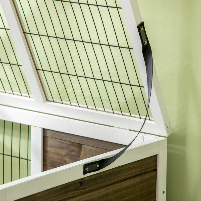 Cage à cochon d'Inde d'intérieur avec cage de couloir d'intérieur