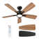 42'' Ceiling Fan With Led Lights