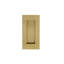 Flush Pull Plate-47444012