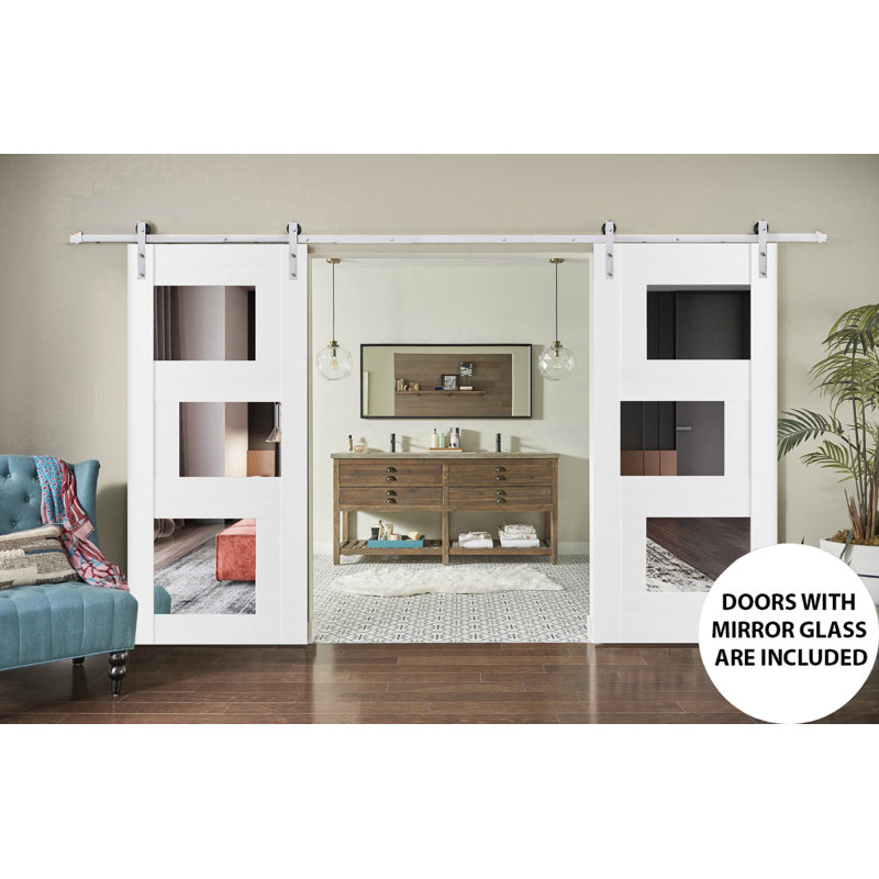 Portes de grange en bois à panneaux en verre Quadro, 79,5 po x 17 po