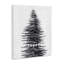 «Snow Covered Christmas Tree Believe», impression-337046987-337046977