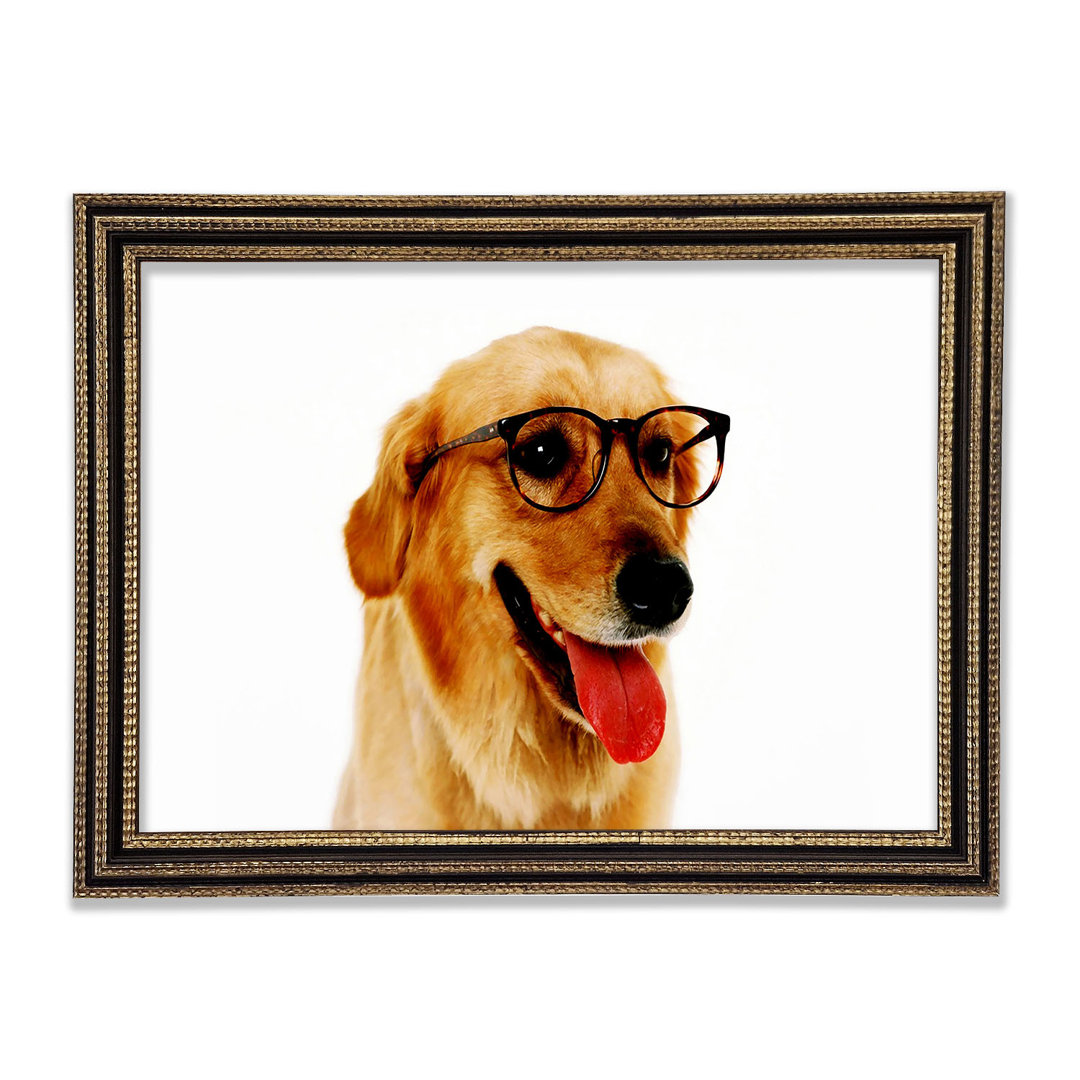 Golden Retriever Nerd Gerahmter Druck