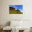 Alvord Cactus In Prospector's View
