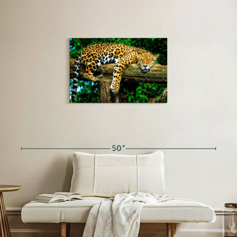 Brampt Sleepy Jaguar, H 20 po x l 30 po