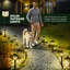 Solar Powered Pathway Light Pack