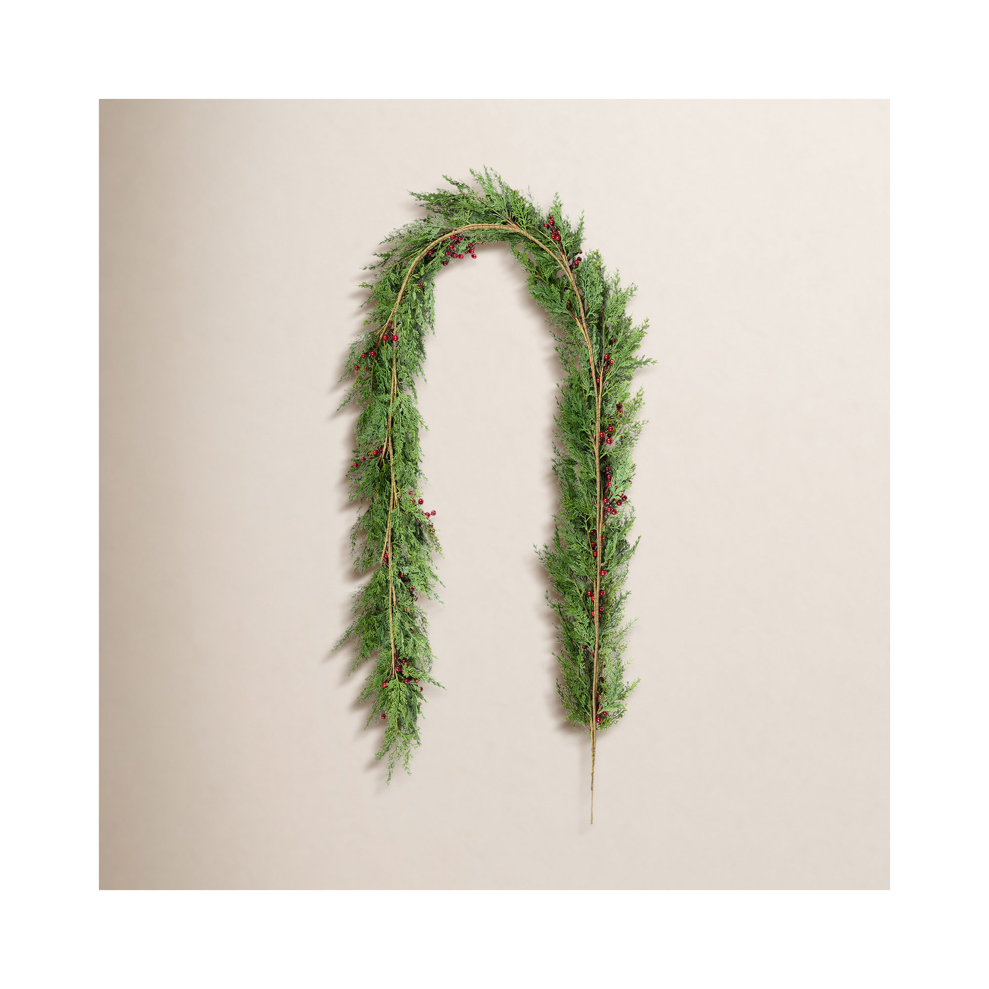 Lexianna 9Ft Christmas Greenery PE Dripping Cedar Garland with Red Berries