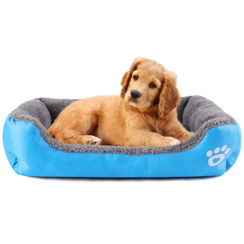 Lit pour chien Goncalves, Bleu, Moyen (l 27,6 po x P 21,6 po x H 4 po)