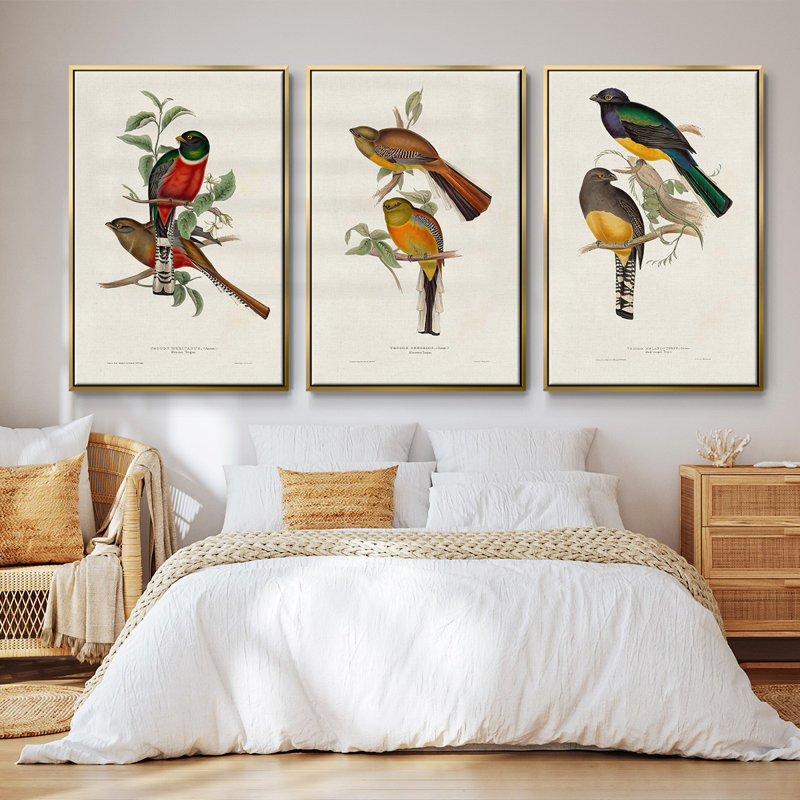 Elegant Trogons I 3 pièces, Encadrement doré, H 40 po x l 78 po