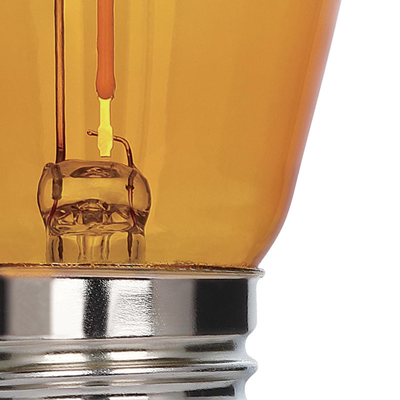 Ampoule à filament omnidirectionnel vert S14 de 2 watts (équivalent à 40 watts) à culot moyen (E26), paquet de 2, Yellow