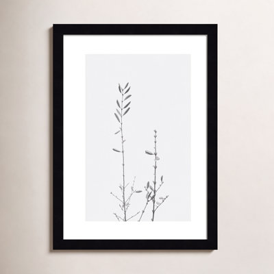 Retro Tennessee Botanical No 2 Photo Print