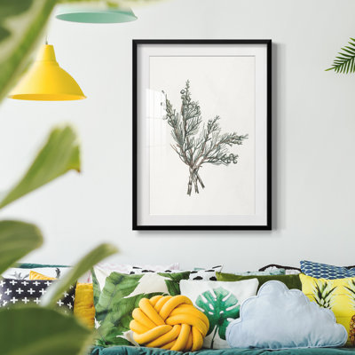 Vintage Floral Print CCIX - Vintage Botanical Print, Matted and Framed Under Acrylic Glass, Living Room and Dining Room Wall Art