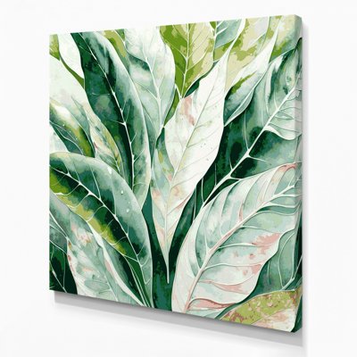 Art mural sur toile Botanical Aglaonema