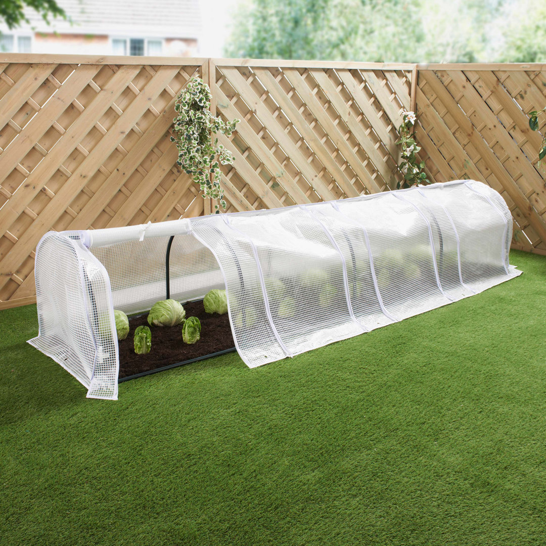 2 Ft W x 2 Ft D Mini Greenhouse