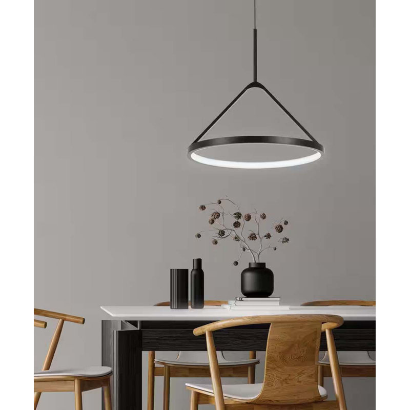 Luminaire suspendu 1 lumière DEL Alsy