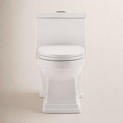 Voltaire 1-Piece Dual-Flush Toilet