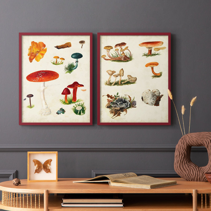 Reproduction encadrée de qualité supérieure de la variété champignon vii - prêt à accrocher - pas de clous requis - pas de clous requis