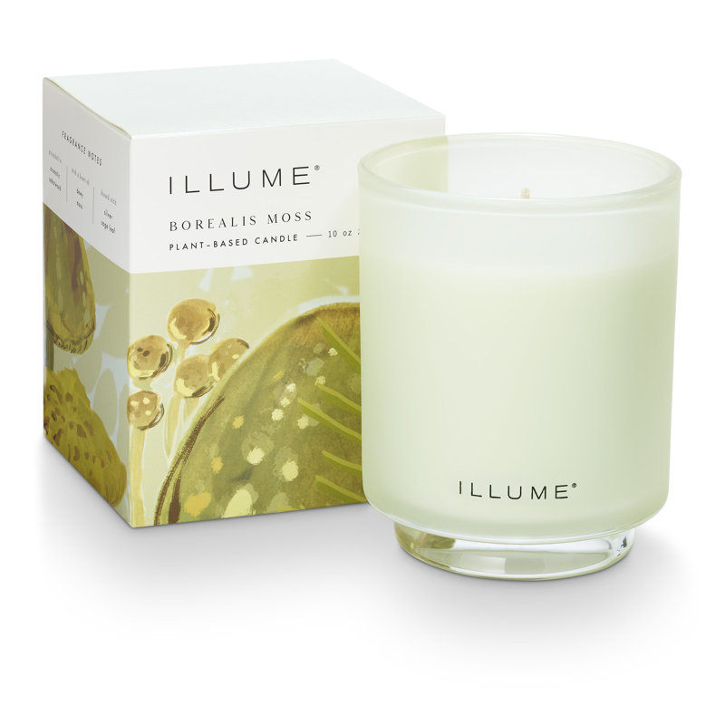 Beautifully Done Borealis Moss Boxed Glass Scented Candle