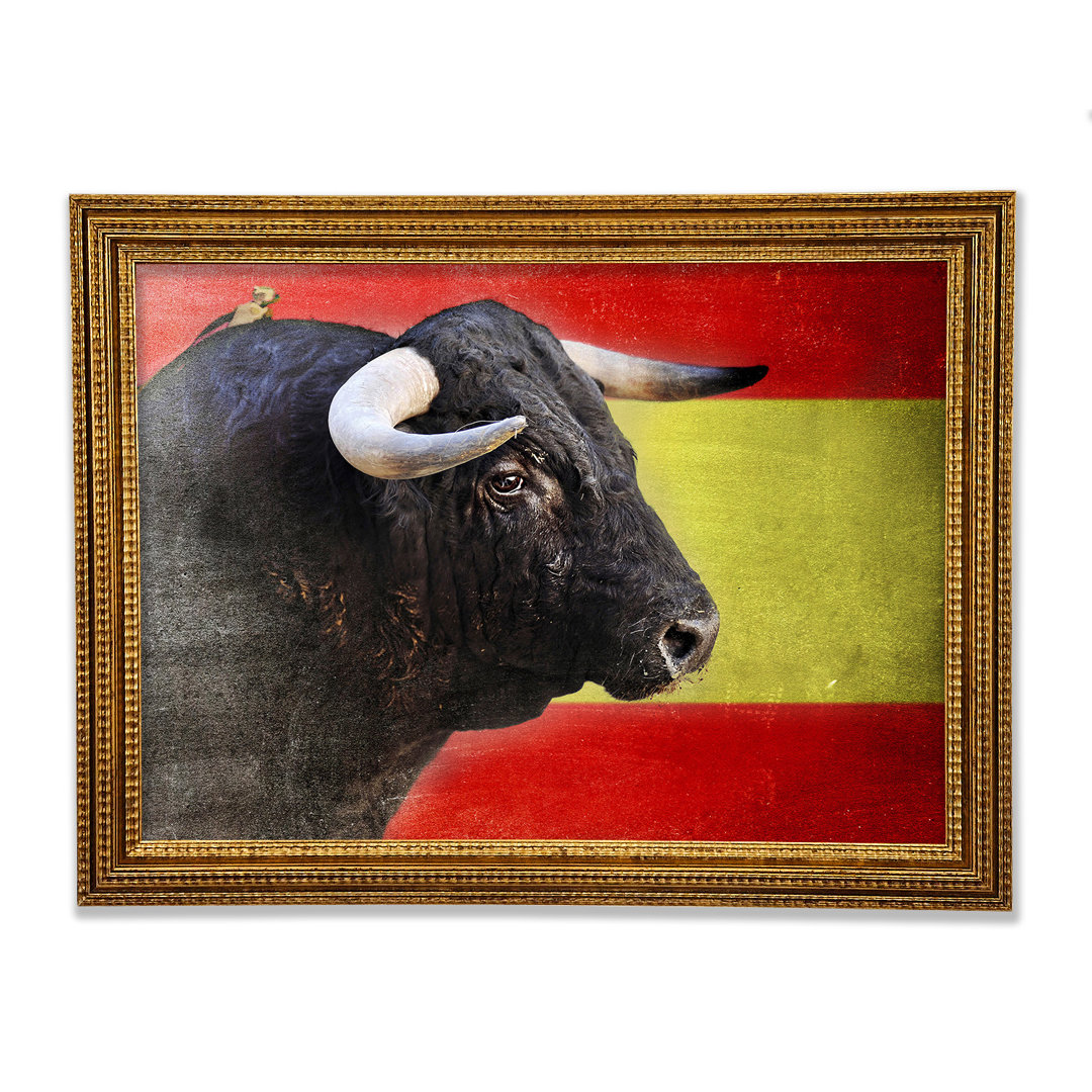 Spanischer Stier - Druck