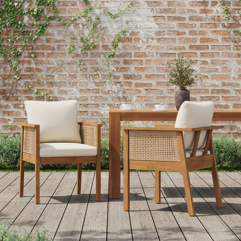 Chaise de salle à manger d'extérieur (ensemble de 2)