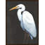 Majestic Waterfowl II Painting by David Erickson-65232831